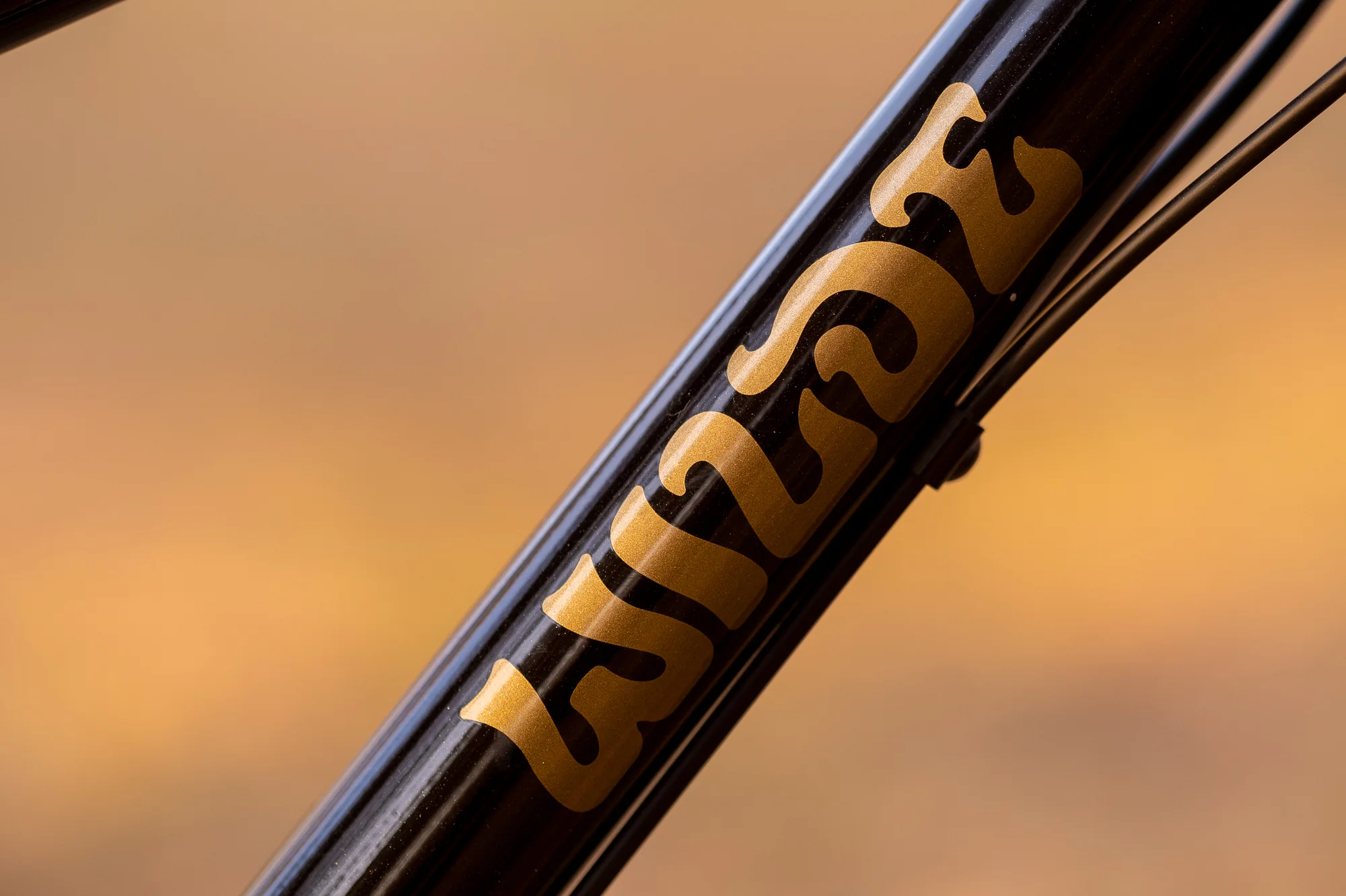 Dark Star - 120 / 130 Hardtail - Image 16