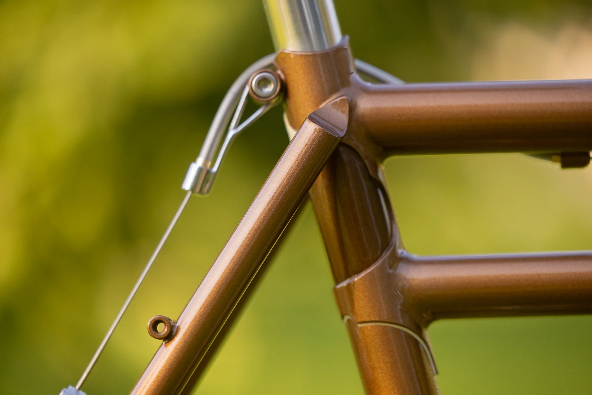 Dog Star - Retro ATB - Image 14