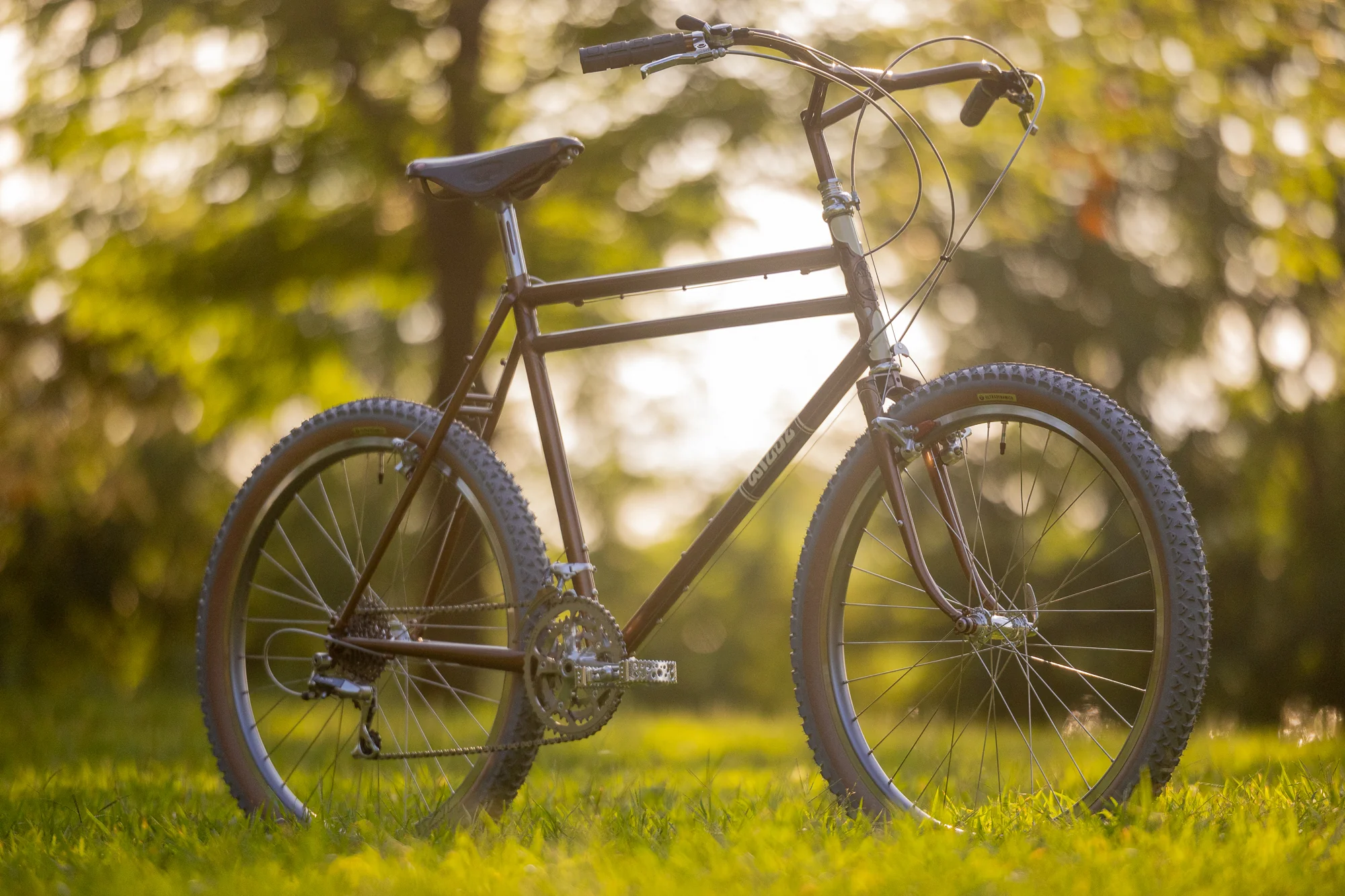 Dog Star - Retro ATB - Image 7