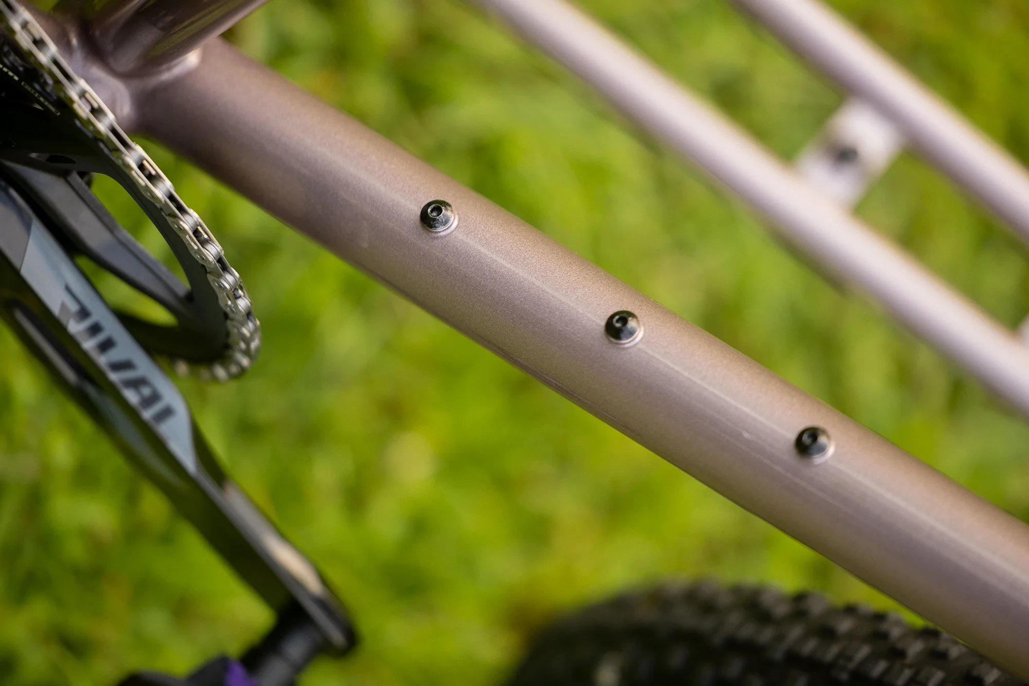 Earth Seed - Gravel Race Mixte - Image 5