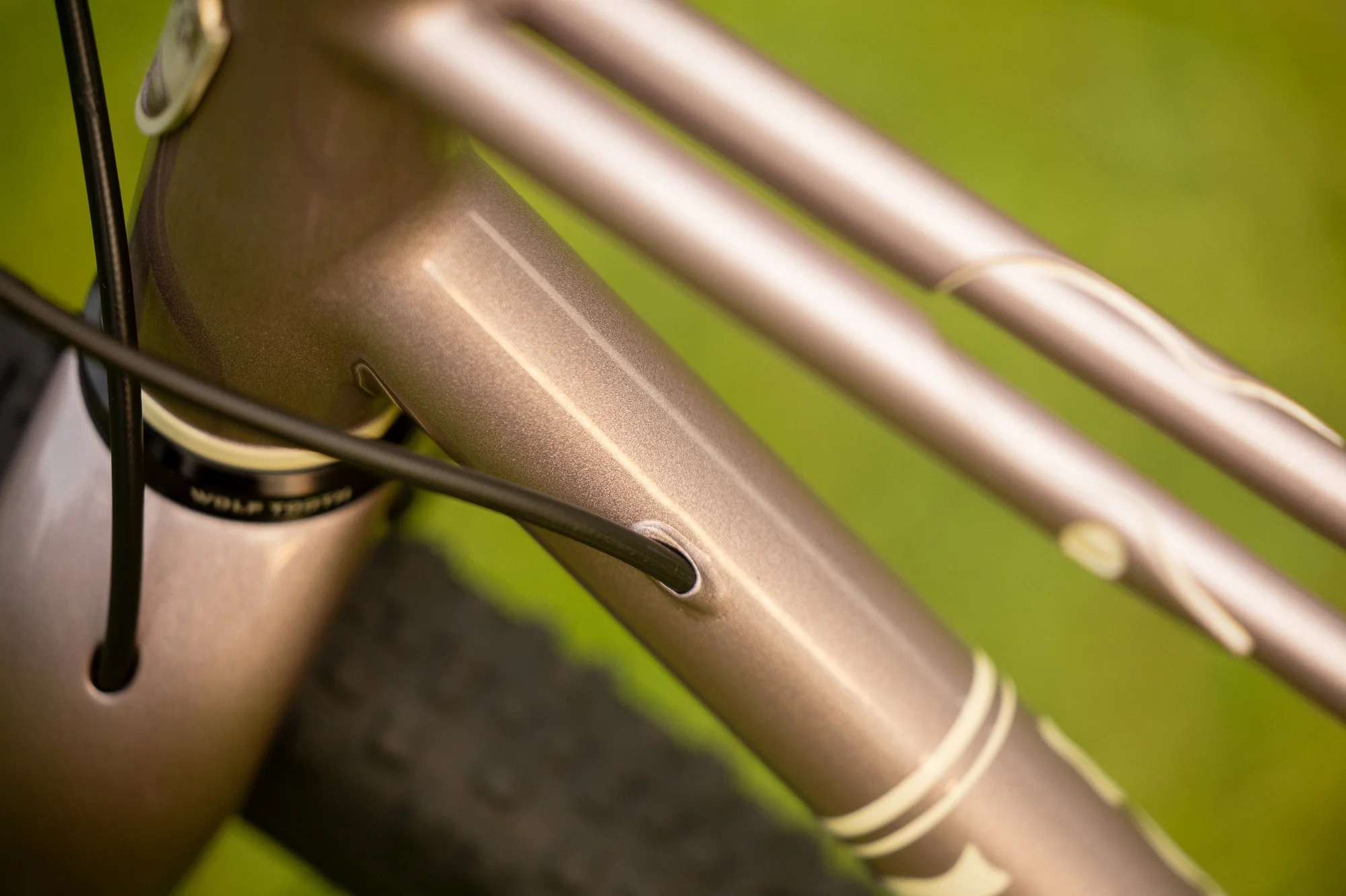 Earth Seed - Gravel Race Mixte - Image 8