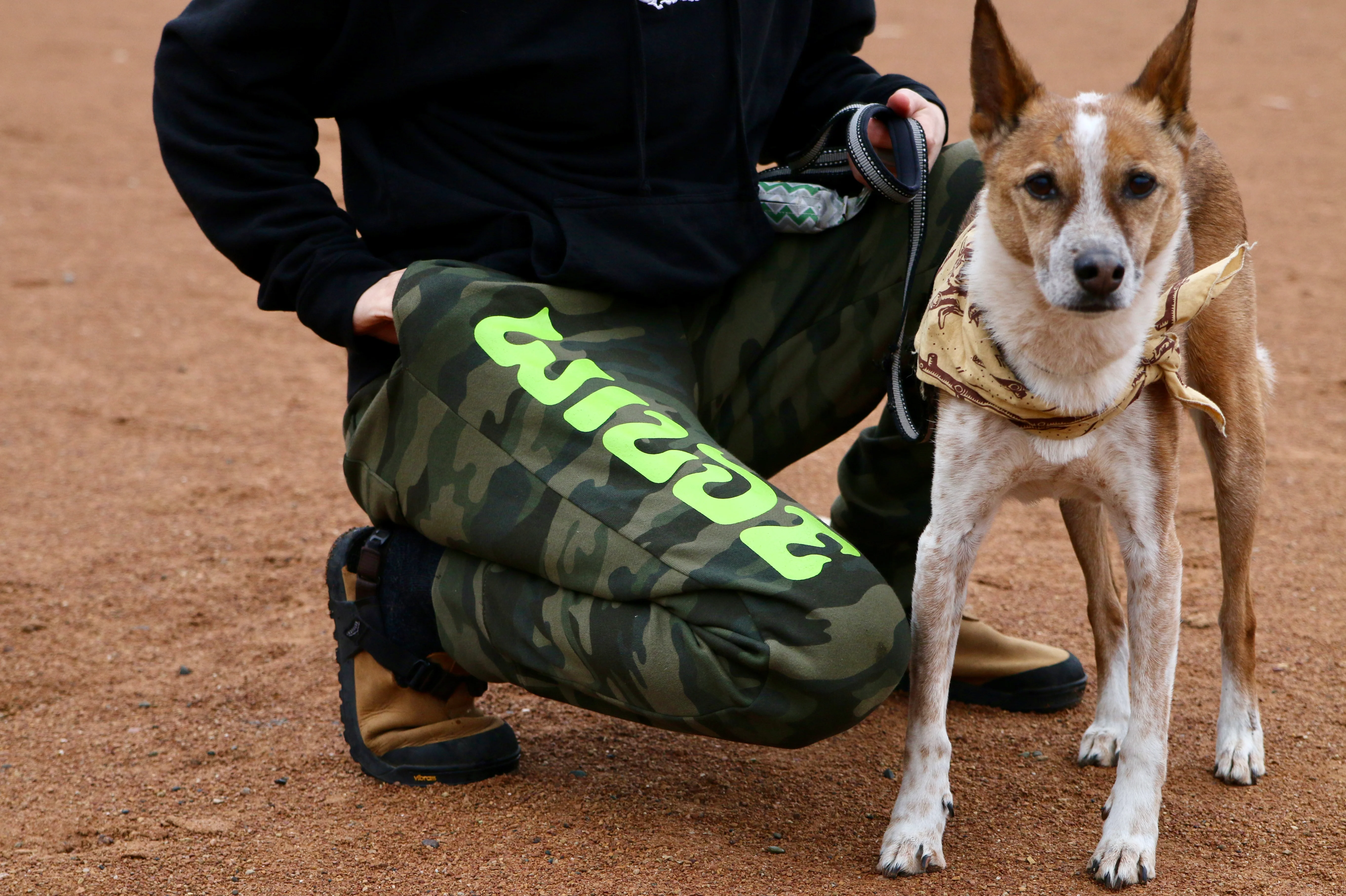 Sweat Pants - Camouflage - Image 7